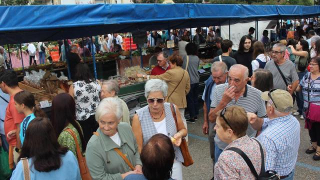 La feria de San Martín de Bergara, en imágenes