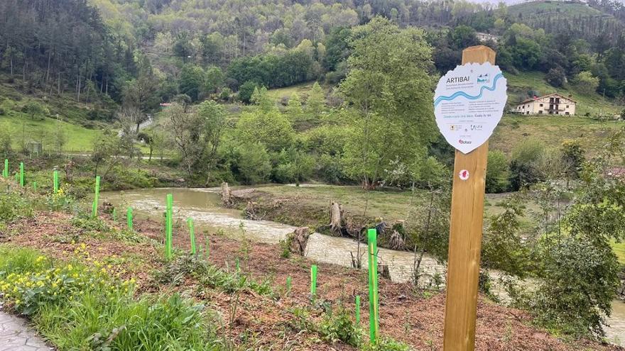 Actuación para recuperar paisaje y biodiversidad del río Artibai.