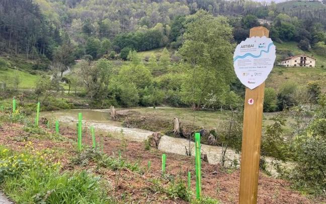 Actuación para recuperar paisaje y biodiversidad del río Artibai.