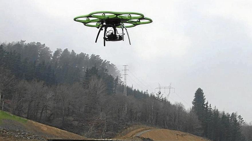 Un dron sobrevuela un bosque.