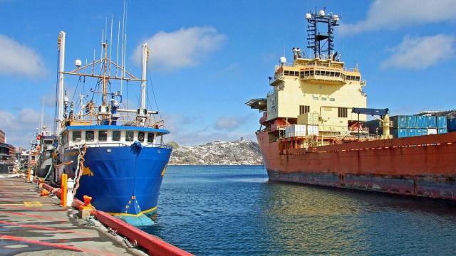 Barcos en Terranova.