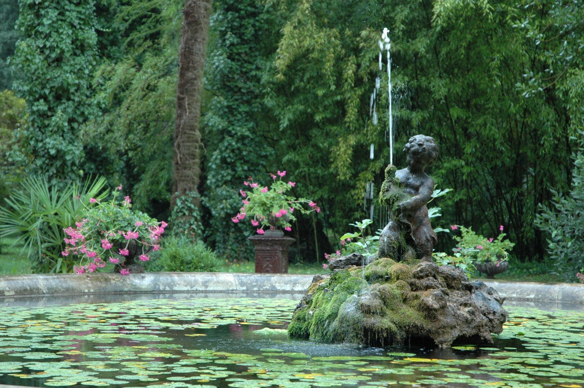 Estanque del parque del Señorío de Bertiz.