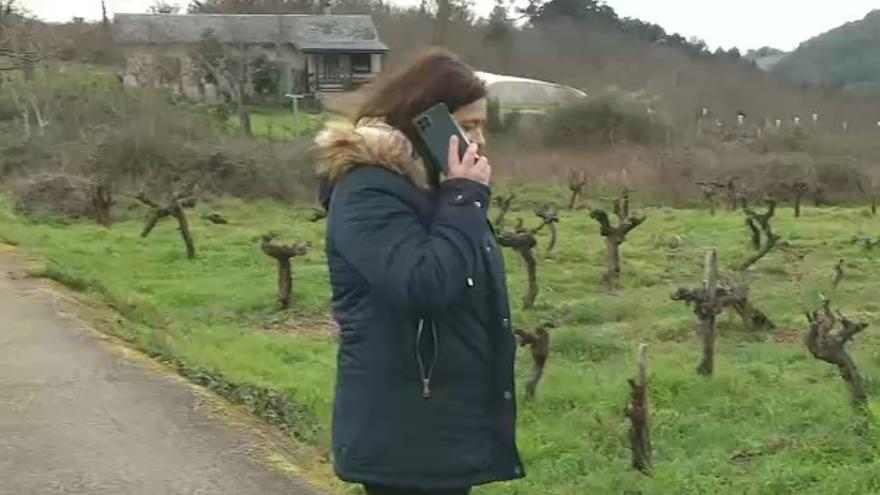 Una señora, hablando por teléfono junto a los viñedos.
