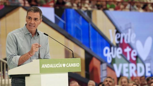 El presidente del Gobierno español, Pedro Sánchez, en el acto del PSOE en Málaga.