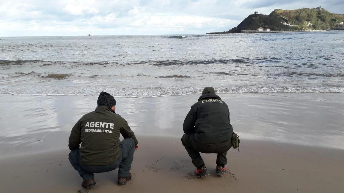 Agentes de Medio Ambiente vigilan l allegada a l acosta asturiana de los pellets.