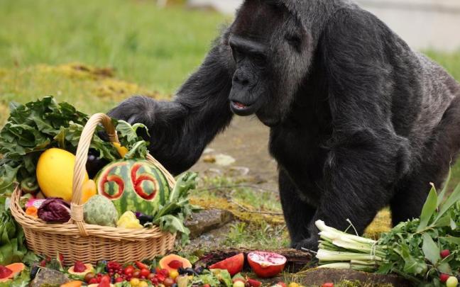 Fatou ha celebrado su cumpleaños con una cesta repleta de frutas y verduras.