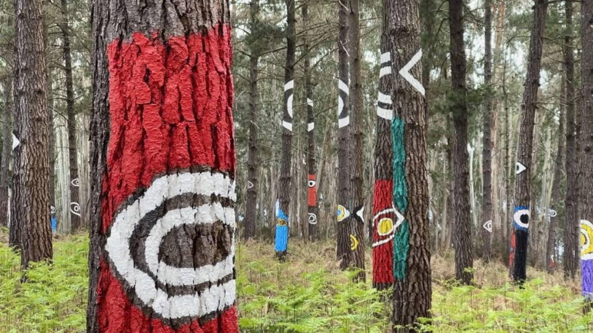 Bosque de Oma
