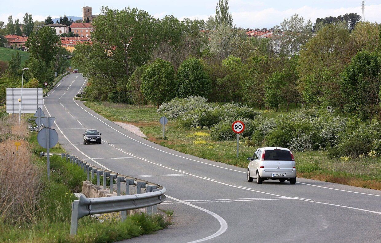 Plantaciones junto a la carretera NA-8102, en el acceso a Noáin.