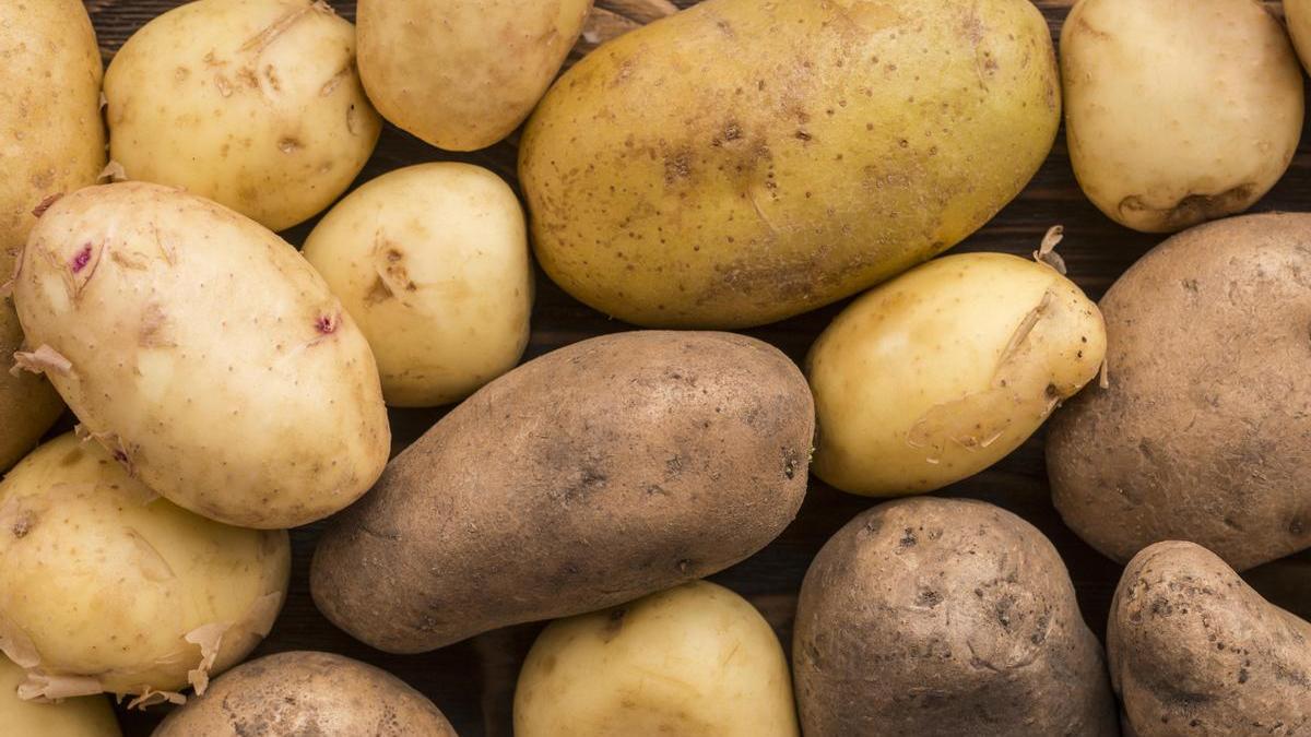 La solanina es un compuesto químico natural que algunas plantas, como la patata, producen para defenderse de insectos y hongos