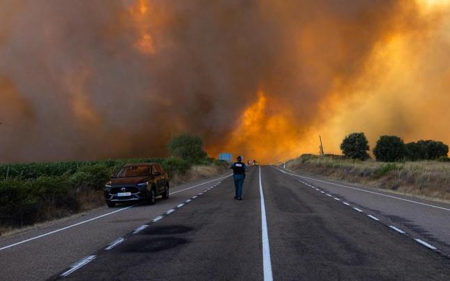 Llamas y humo procedentes de un incendio forestal en Fermoselle, Zamora.