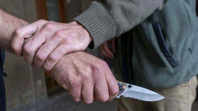 Legarda ha abogado por impulsar reformas legales y campañas de sensibilización sobre las armas blancas "sin lugar a interpretaciones como ocurre en la actualidad".