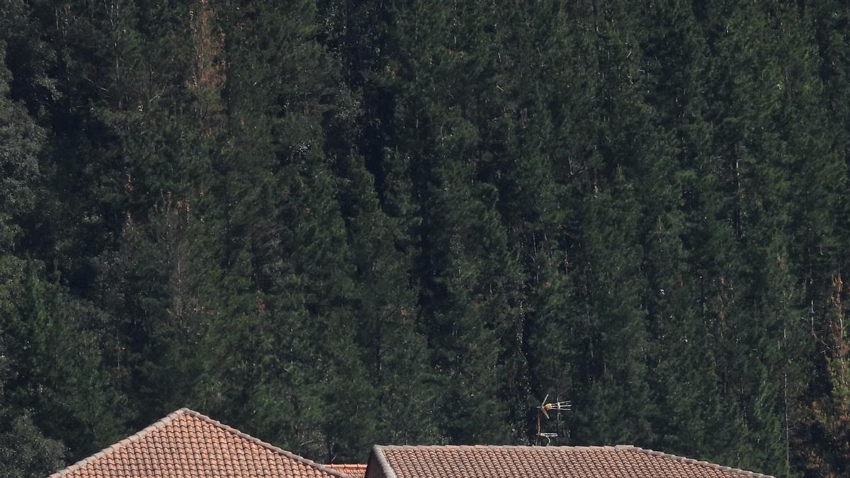 La escuela Montorre acogerá temporalmente al alumnado de Haizeder (Ea)