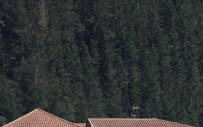 La escuela Montorre acogerá temporalmente al alumnado de Haizeder (Ea)