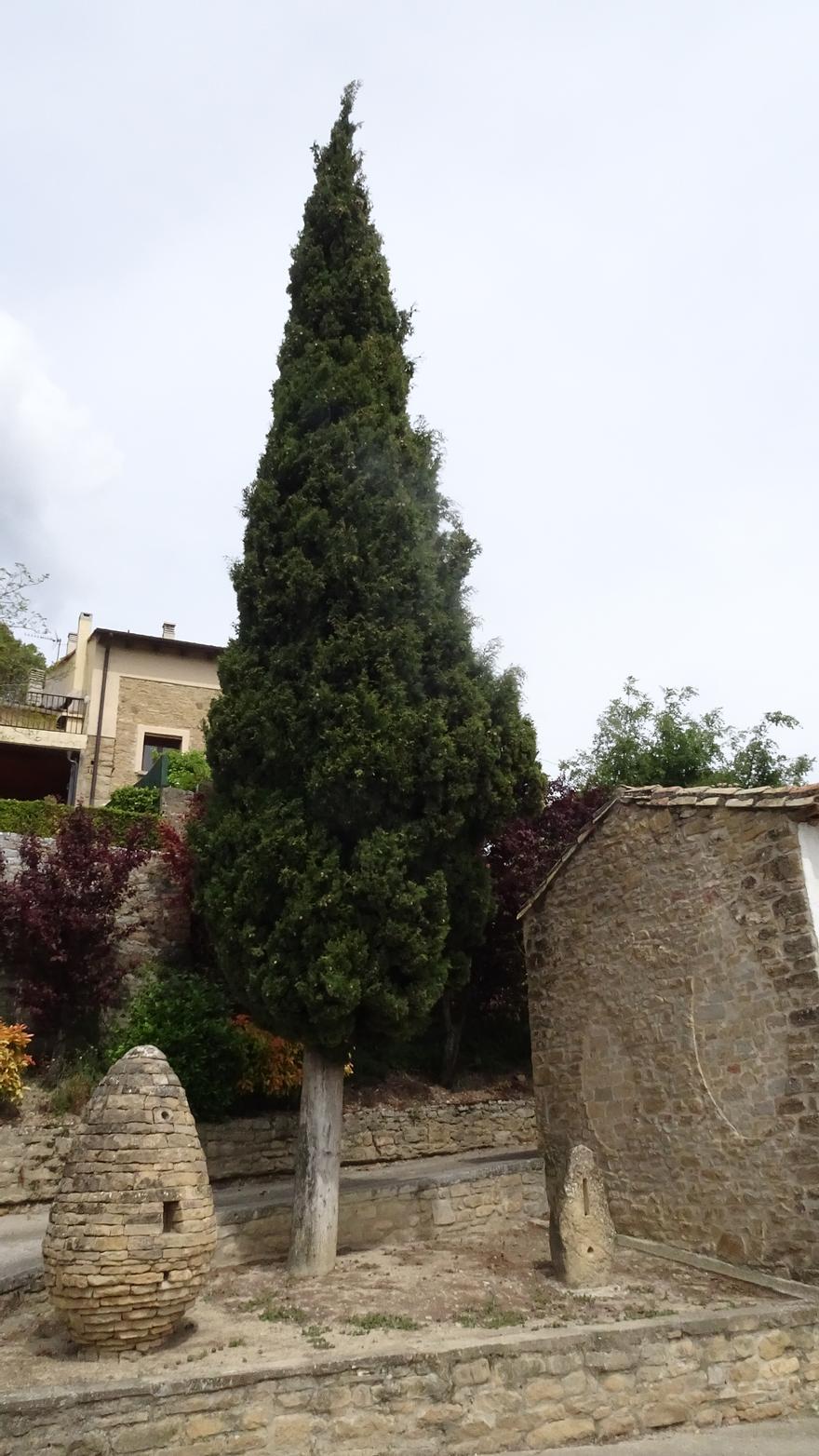 La obra 'Cinco cipreses', parte del Paseo Megalítico de Eslava