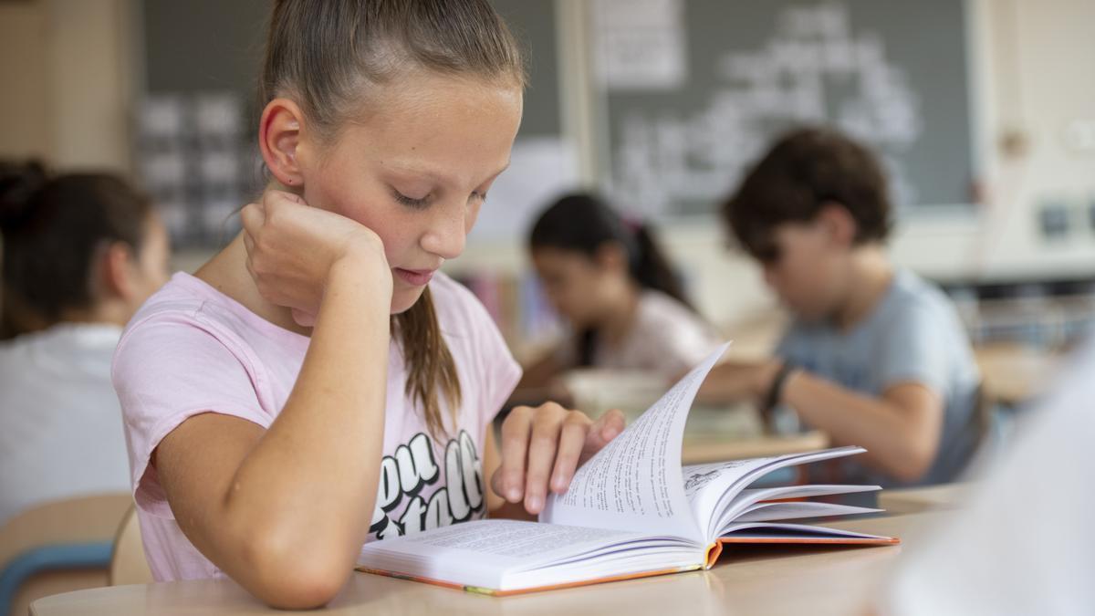 En los últimos años. el Departamento de Educación ha reforzado su estrategia de lectura en los centros.