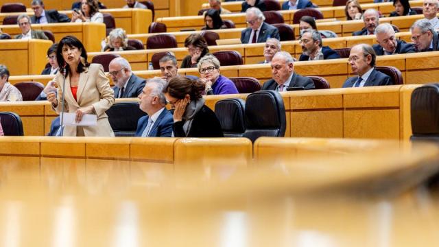 Sesión de control al Gobierno en el Senado.
