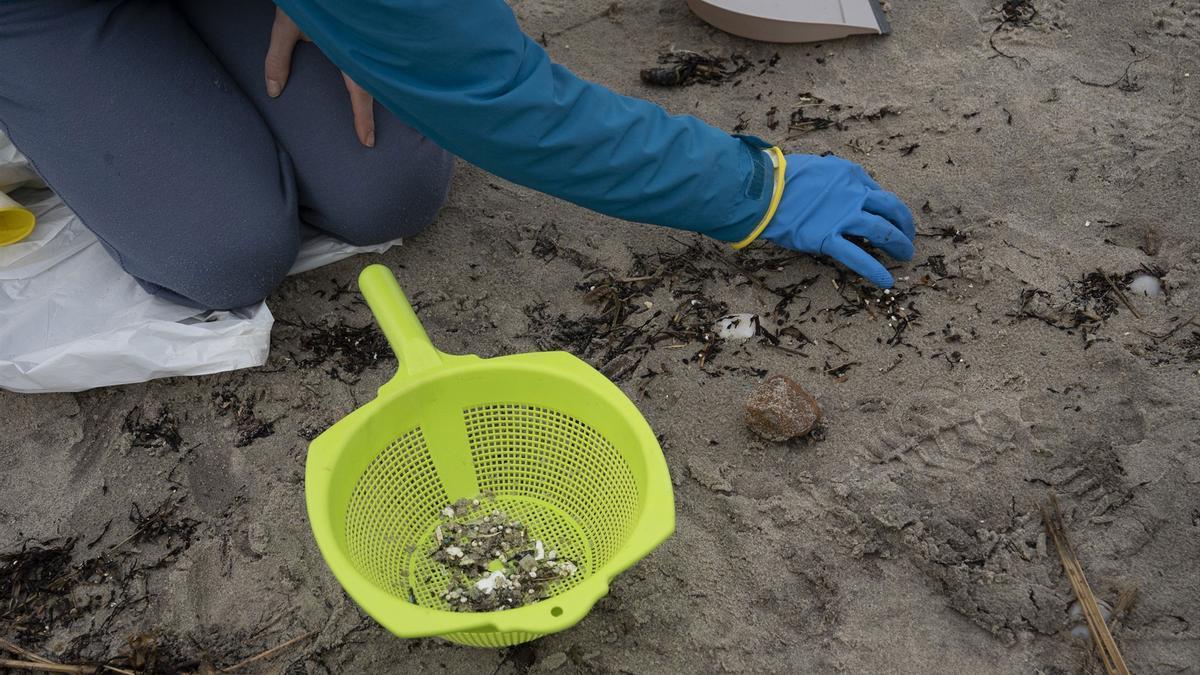 Un voluntario busca pellets en una playa de Galicia.