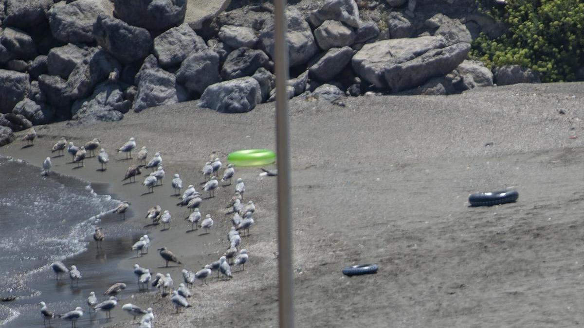 Flotadores en una playa de Ceuta