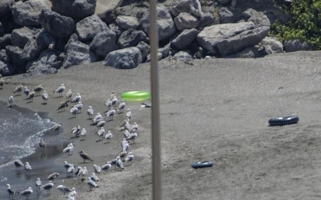 Flotadores en una playa de Ceuta