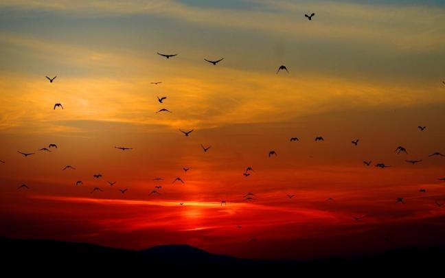 Mejores atardeceres de Gipuzkoa / Pixabay Mejores atardeceres de Gipuzkoa