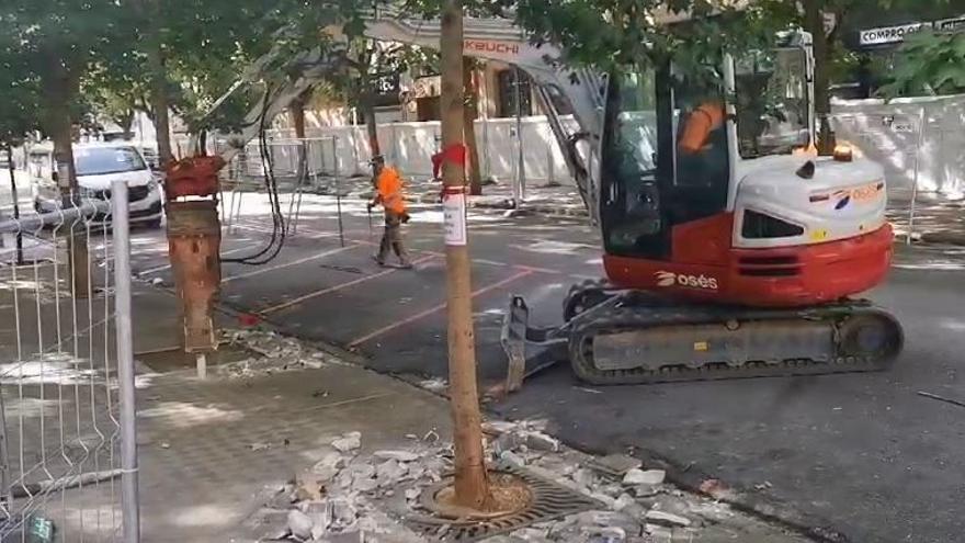 Labores previas al trasplante de los árboles de la calle Sangüesa