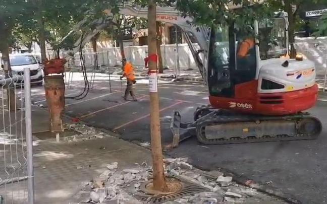 Labores previas al trasplante de los árboles de la calle Sangüesa Labores previas al trasplante de los árboles de la calle Sangüesa