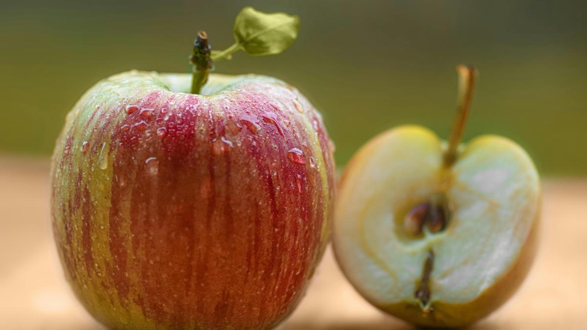 Manzana