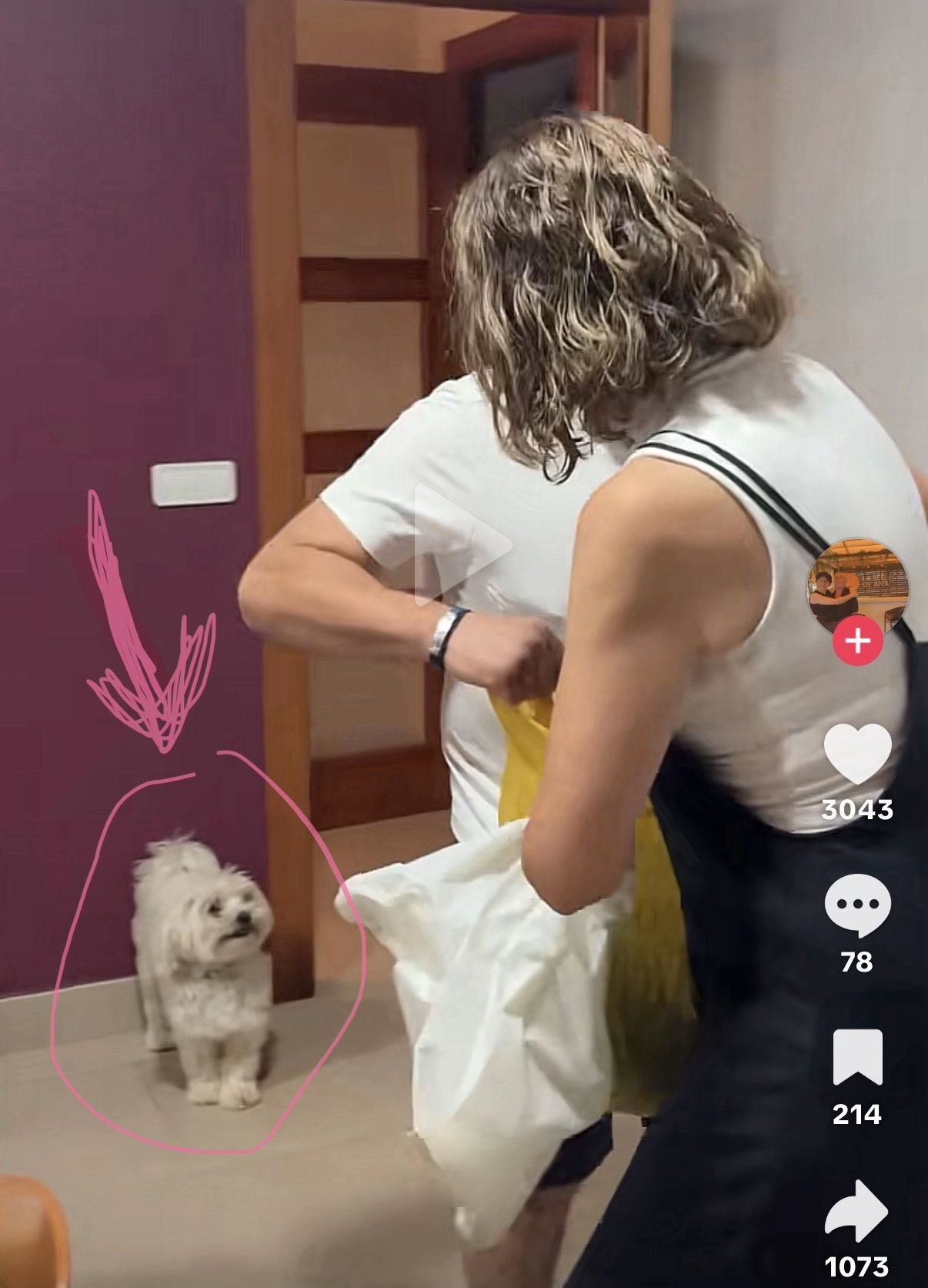 Nico, el perrete de la familia, no daba crédito a lo que estaba pasando.