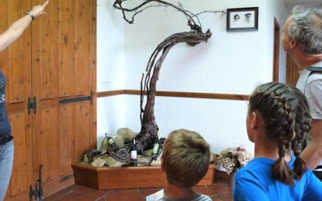 Talai-Berri ofrece visitas guiadas en familia a su bodega de txakoli.