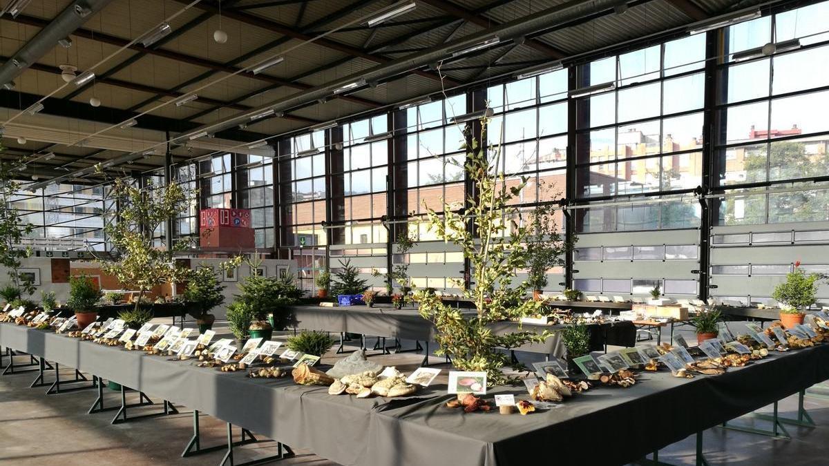 El 5 de octubre se llevará a cabo una exposición en Landako Gunea