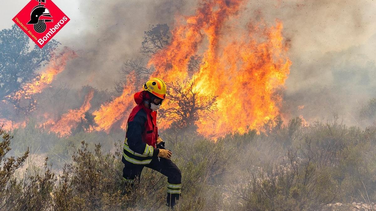 Incendio forestal de Ibi (Alicante)