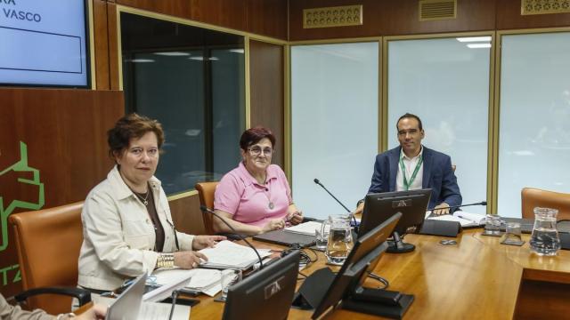 La directora general de Osakidetza, Lore Bilbao, ha comparecido ante la Comisión de Salud