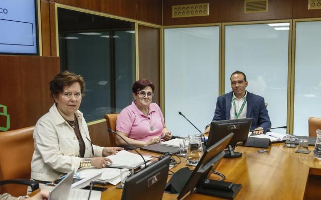 La directora general de Osakidetza, Lore Bilbao, ha comparecido ante la Comisión de Salud
