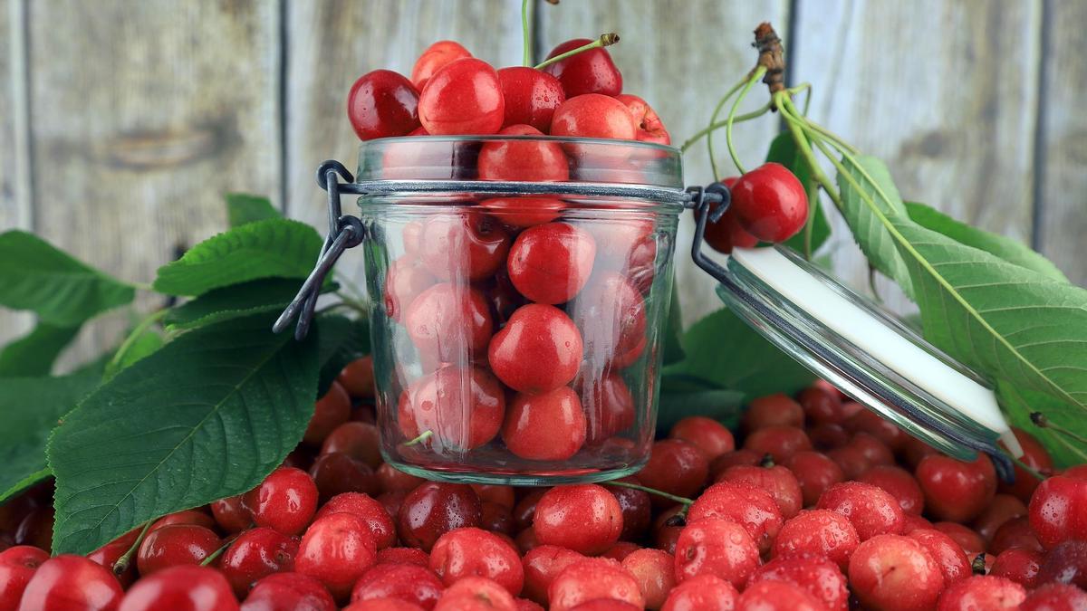 Embotar las cerezas permite poder desfrutar de ellas todo el año.