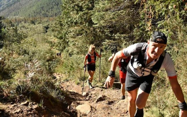 Varios corredores en la última edición