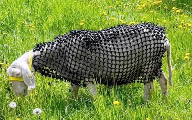 El curioso invento para evitar mordeduras que ha patentado un ganadero austríaco