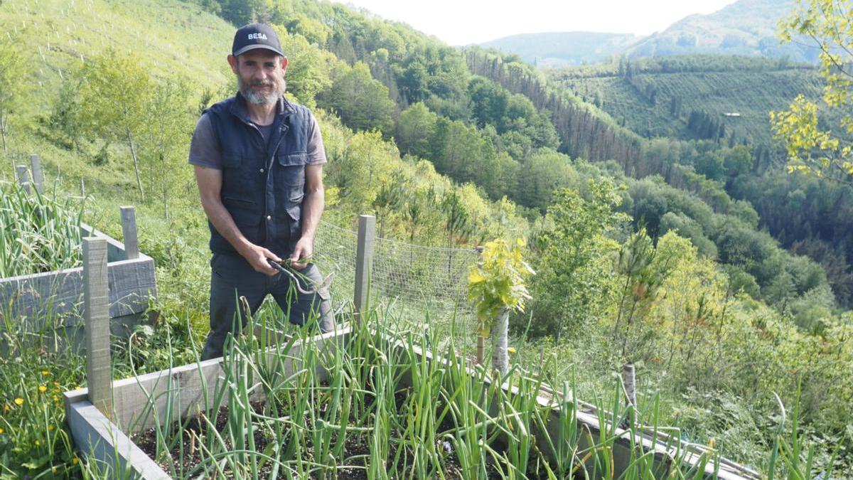 Gurutz Garmendia, junto a uno de los bancales que utiliza como espacio de cultivo en Oñatz