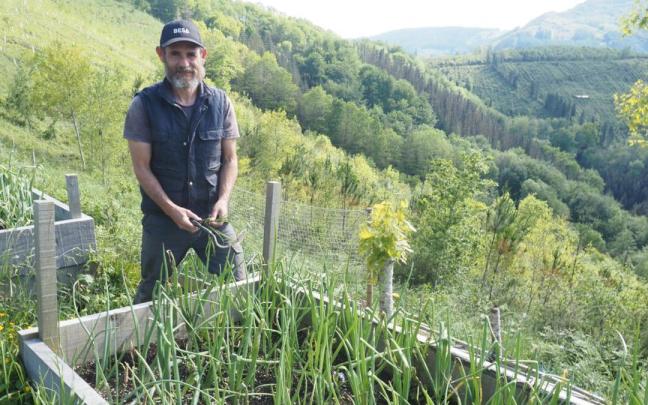 Gurutz Garmendia, junto a uno de los bancales que utiliza como espacio de cultivo en Oñatz / Aitor Gurutz Garmendia, junto a uno de los bancales que utiliza como espacio de cultivo en Oñatz
