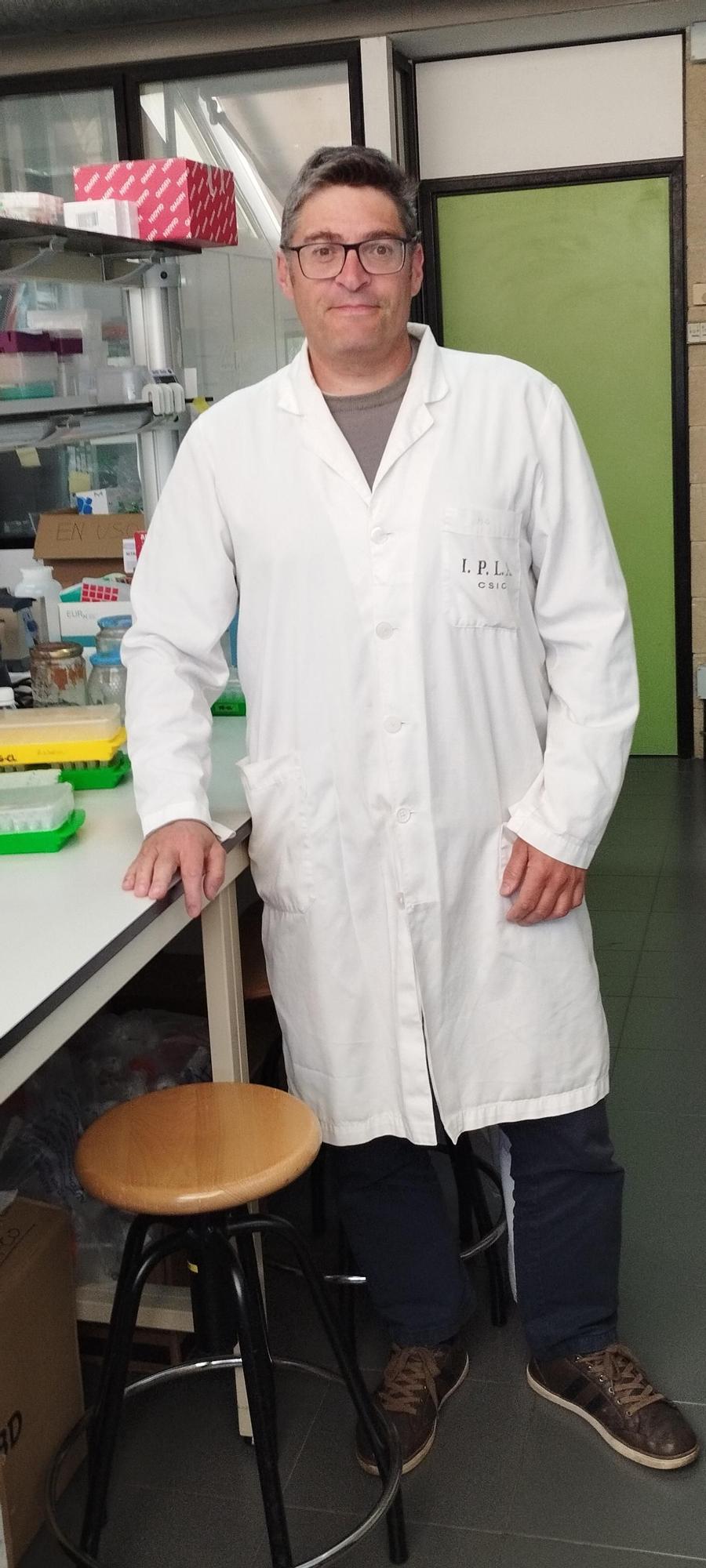 La actividad investigadora de Gueimonde se centra en el estudio de la microbiota intestinal, principalmente en ancianos y neonatos.