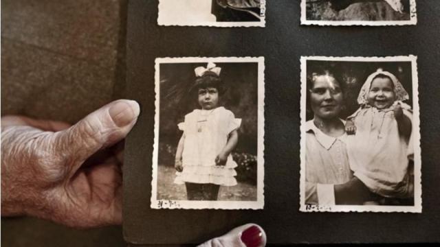 El proyecto se trabajará de manera transversal