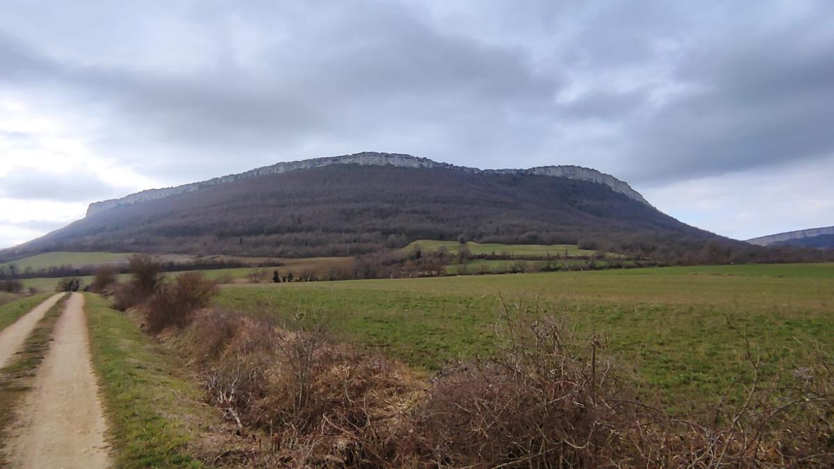 En Imagenes: Por los montes de Espinosa de los Monteros