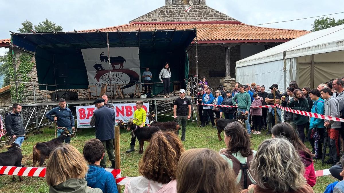 Concurso de chivos en el pasado Ahuntz Eguna de Garrastatxu en Baranbio
