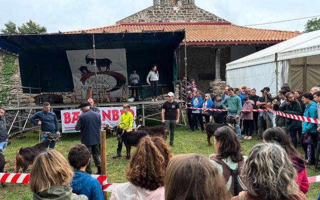 Concurso de chivos en el pasado Ahuntz Eguna de Garrastatxu en Baranbio