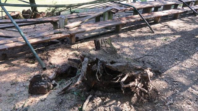 El tocón del árbol, la mesa y la estructura metálica.