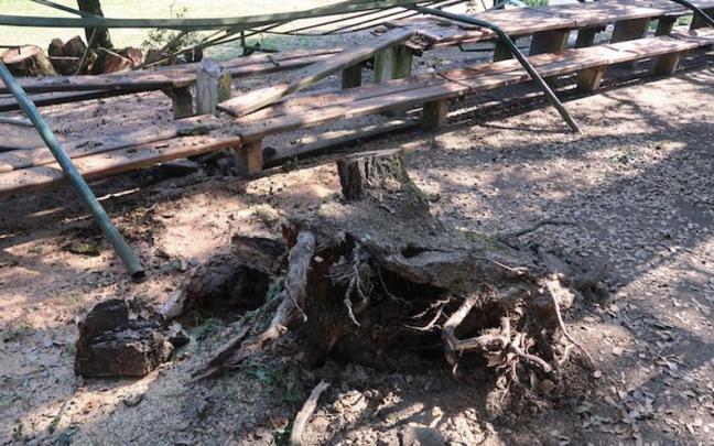 El tocón del árbol, la mesa y la estructura metálica.