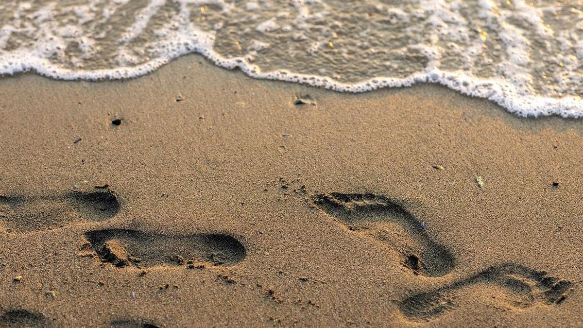 Así es el pez araña venenoso que amenaza las playas este verano: cómo actuar si te pica