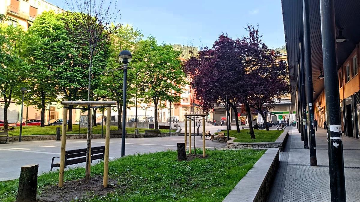 Nuevos ejemplares en Serafin Esnaola