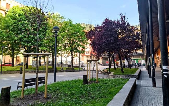 Nuevos ejemplares en Serafin Esnaola