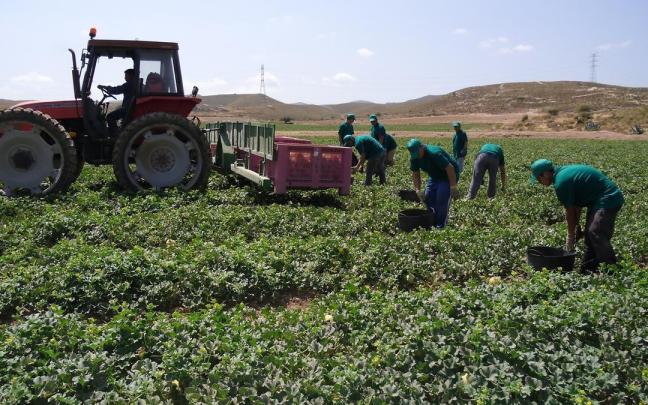 Los trabajadores cualificados del sector agrícola, forestal y pesquero tuvieron la semana laboral media más larga en la UE en 2022 Los trabajadores cualificados del sector agrícola, forestal y pesquero tuvieron la semana laboral media más larga en la UE en 2022