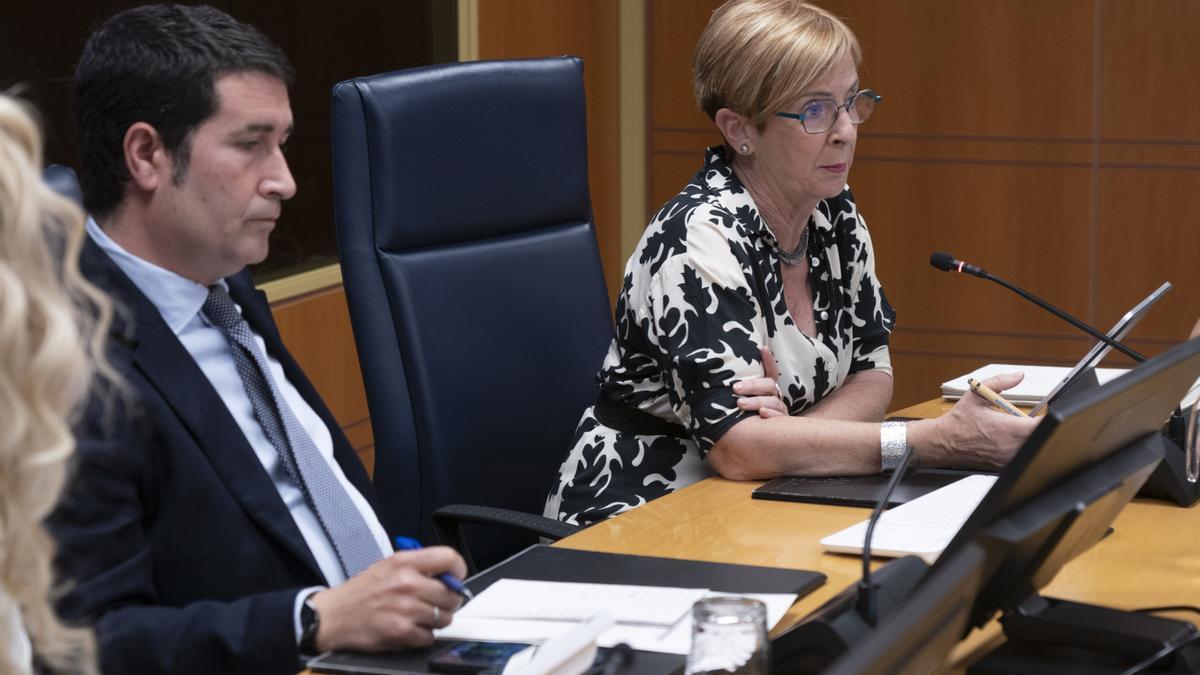 Arantxa Tapia, en la Comisión de Sostenibilidad, Medio Ambiente y Medio Natural del Parlamento Vasco.